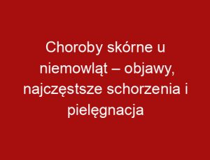 Choroby skórne u niemowląt – objawy, najczęstsze schorzenia i pielęgnacja