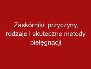 Zaskórniki: przyczyny, rodzaje i skuteczne metody pielęgnacji